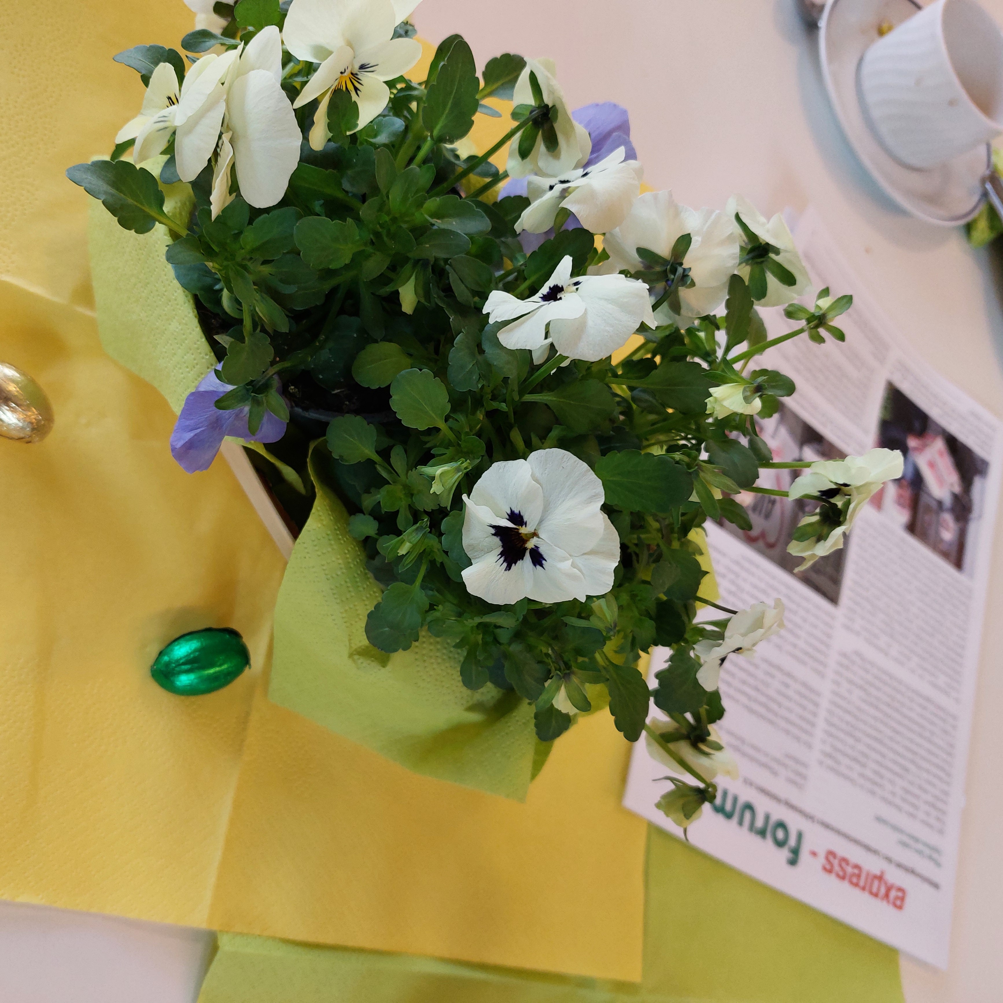 SBR Frühstück 03 2022