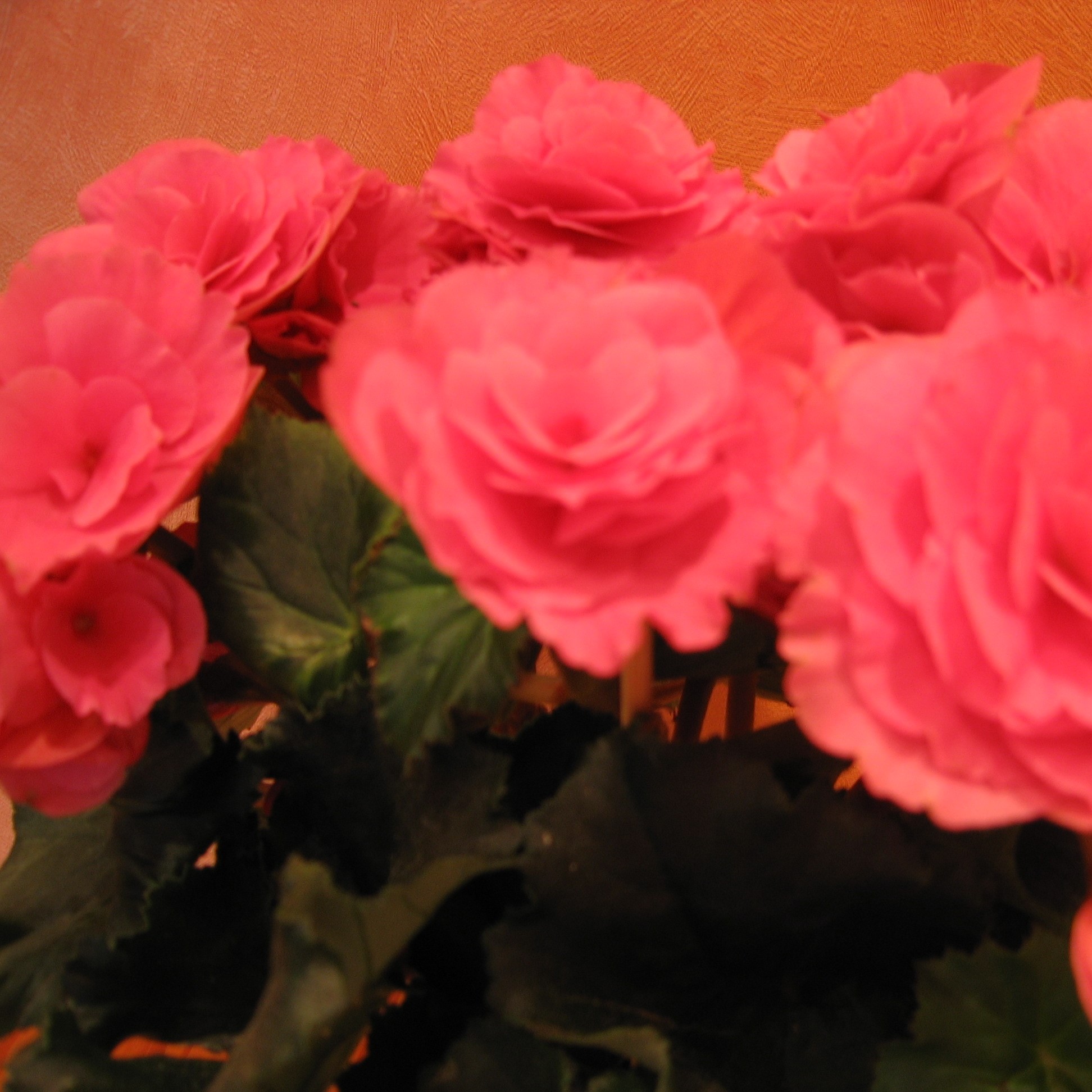 SBR Frühstück 03 2023