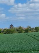 SBR20230503Bus1IRB-15