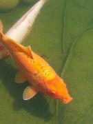 20240806131952resized