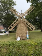 SBR250730BF215IMG3741