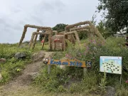 SBR250730BF219IMG3747