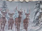 SBR251210BF3220251210150624resized1