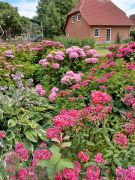 SBR20220728BF2B33WDL